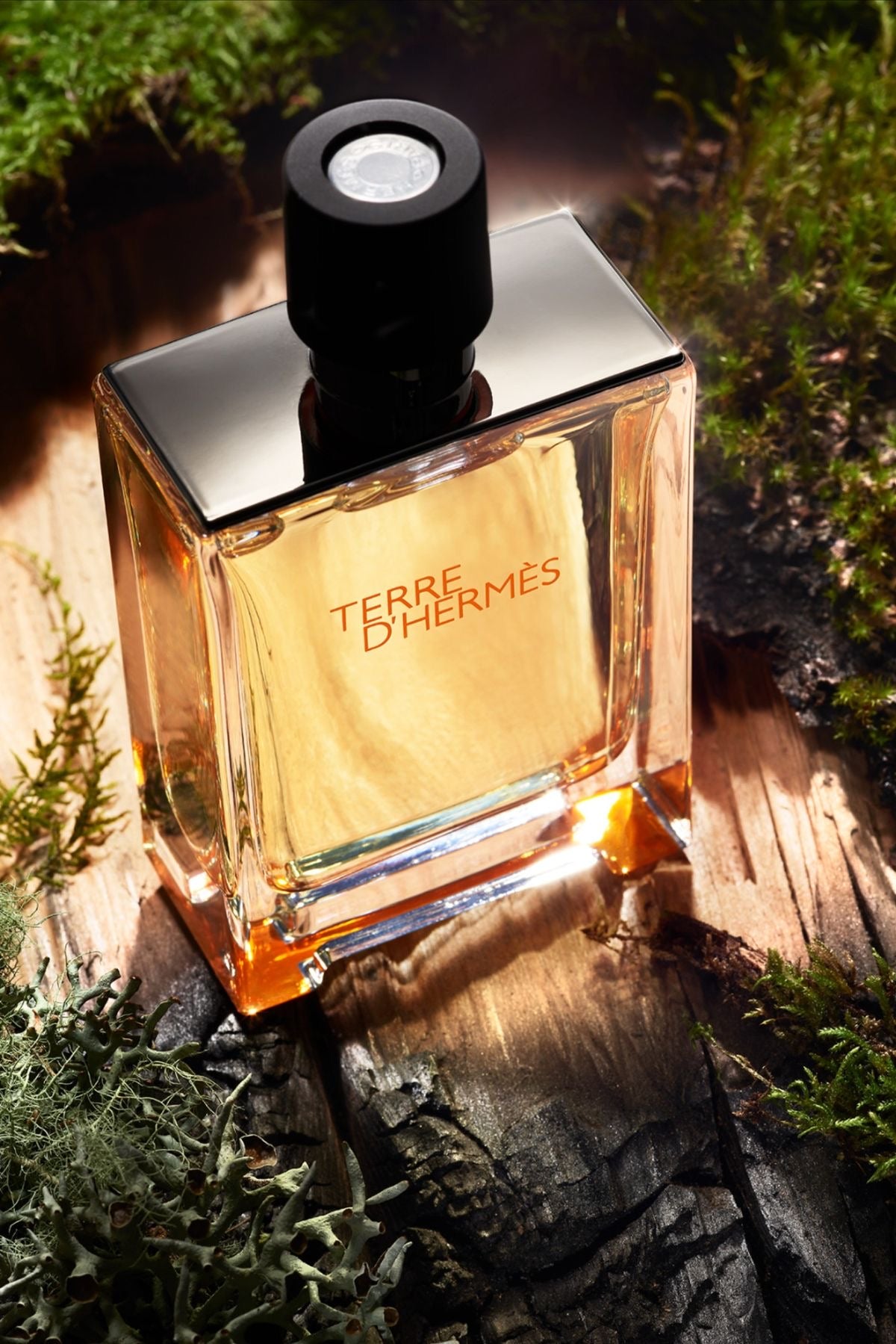Terre D'Hermes